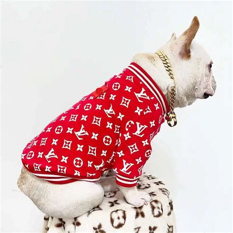 lv dog jacket